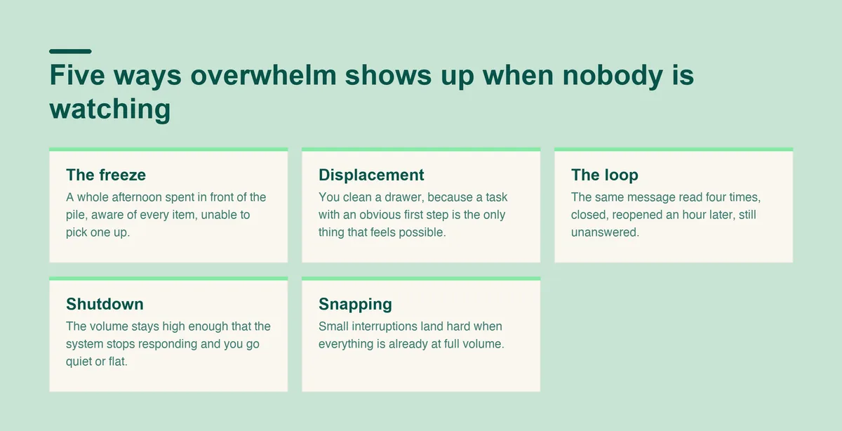 Five ways ADHD overwhelm shows up: freezing in front of the pile, displacement activity, looping on one message, shutting down, and snapping at interruptions